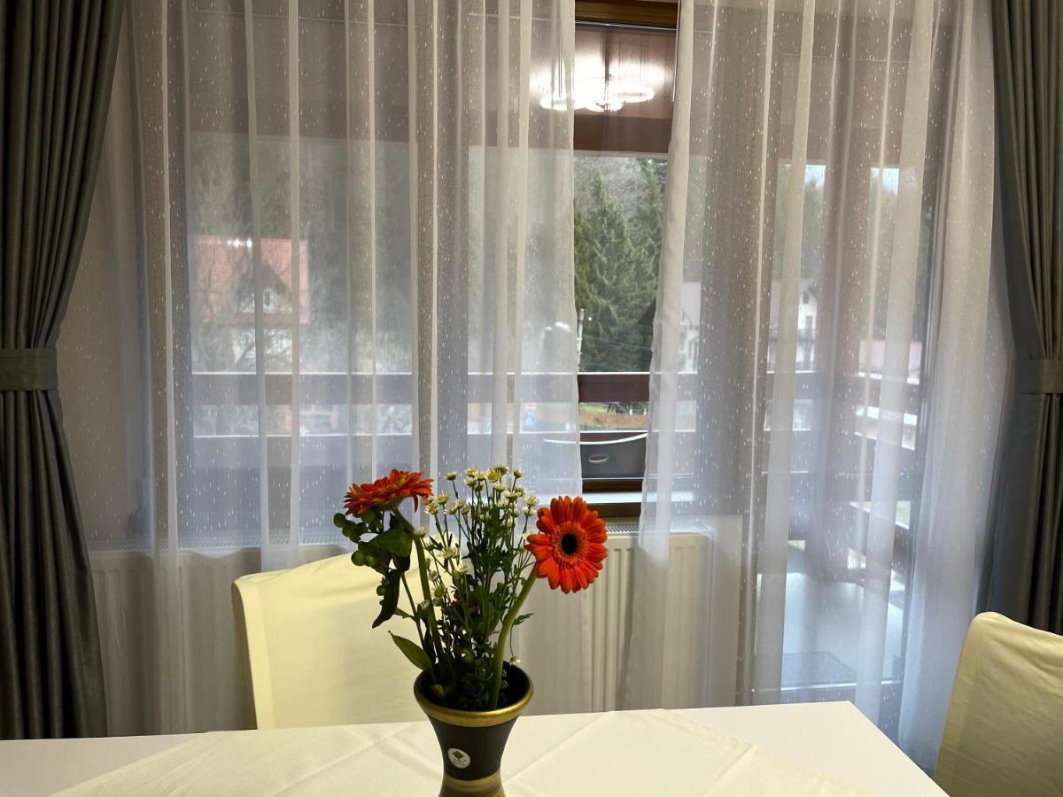 Apartament Lexannona Busteni Exterior photo